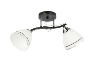 Потолочный светильник 13216/2BK CR WT_4 купить оптом в ЭкономСвет