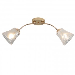 Потолочный светильник 12276/2FGD CL купить оптом в ЭкономСвет