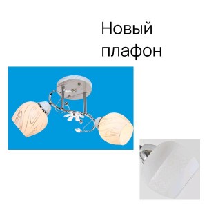 Потолочный светильник 2076LM/2_новый плафон 2 купить оптом в ЭкономСвет