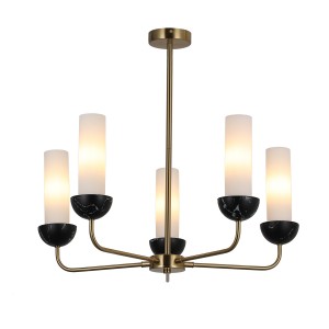 Потолочный светильник G31355/5BRS BK WT купить оптом в ЭкономСвет