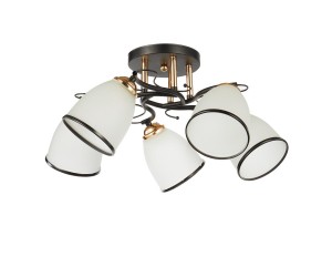 Потолочный светильник 20138/5BK+FGD WT+BK купить оптом в ЭкономСвет