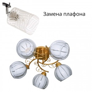 Потолочный светильник 31944/5MGD WT+CL_новый плафон купить оптом в ЭкономСвет