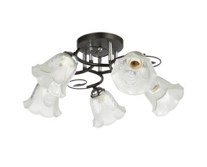 Потолочный светильник 20136/5BK+CR WCL купить оптом в ЭкономСвет