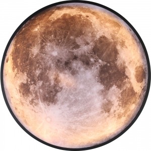 Настенный светодиодный светильник G61437/1wMN купить оптом в ЭкономСвет