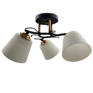 Потолочный светильник 20138/3BK+FGD WT+BK купить оптом в ЭкономСвет