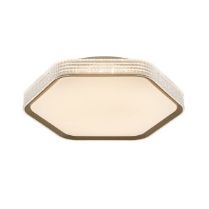 Потолочный светодиодный светильник 51299/1GD CL+WT купить оптом в ЭкономСвет