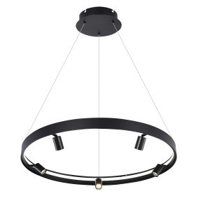 Потолочный светодиодный светильник G52170/1+5BK BK+WT купить оптом в ЭкономСвет