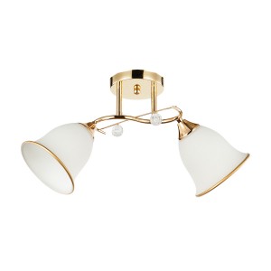 Потолочный светильник 13210/2FGD WT_2 купить оптом в ЭкономСвет