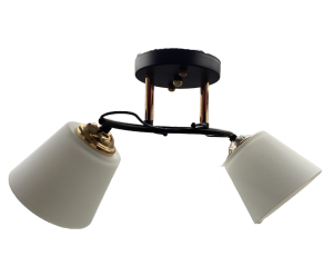 Потолочный светильник 20138/2BK+FGD WT+BK купить оптом в ЭкономСвет