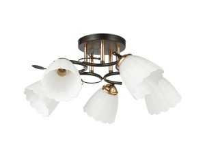 Потолочный светильник 20139/5BK+FGD WT купить оптом в ЭкономСвет