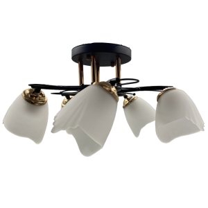 Потолочный светильник 20138/5BK+FGD WT+BK купить оптом в ЭкономСвет