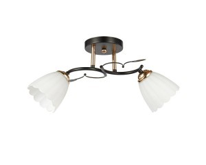 Потолочный светильник 20139/2BK+FGD WT купить оптом в ЭкономСвет