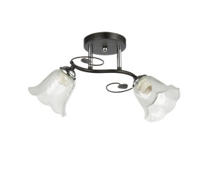 Потолочный светильник 20136/2BK+CR WCL купить оптом в ЭкономСвет